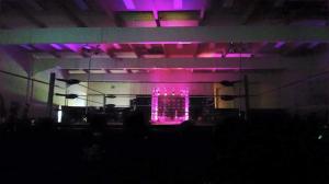 Mercury Rising Indie show ring.