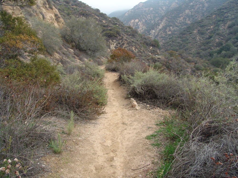 This is the start of the trail. Photo by: Denise Salcedo. Jan 2016.