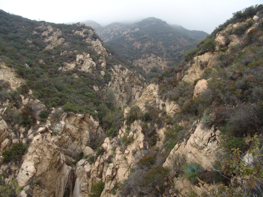 The fog over Rubio Canyon. Photo by: Denise Salcedo. Jan 2016.