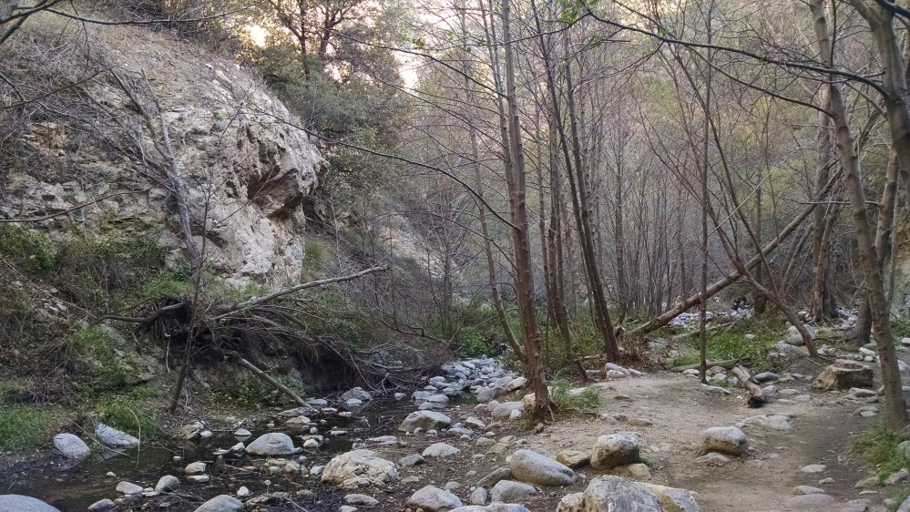 IMG_20160102_132910619