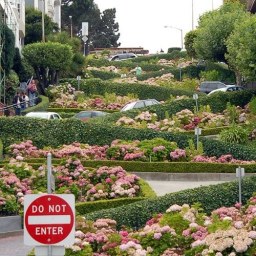 lombard_street