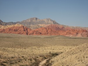 mojavedesert