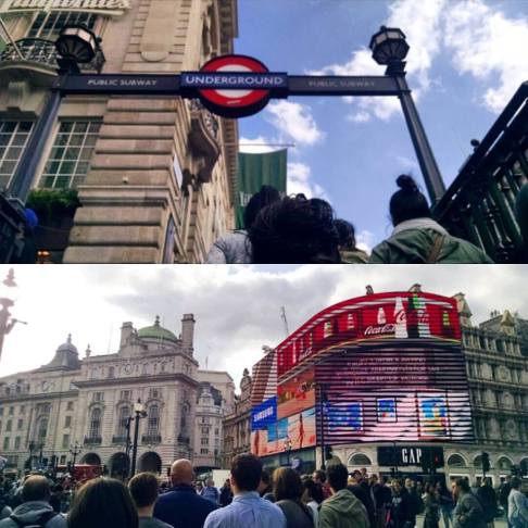 13239990_10201702805127419_1491107652920424436_n