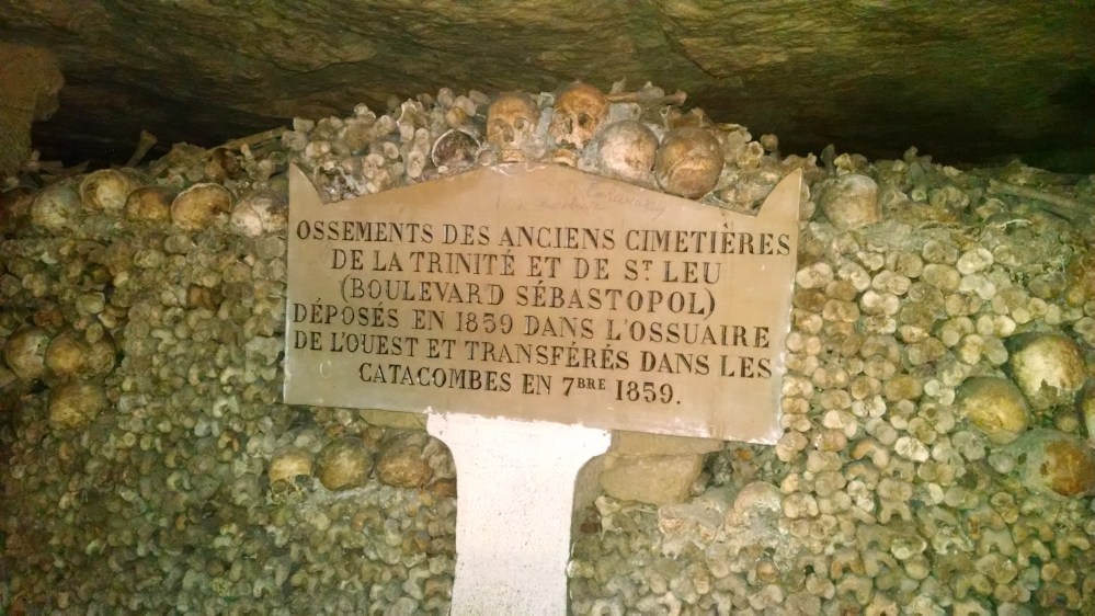 IMG_20160519_110641879