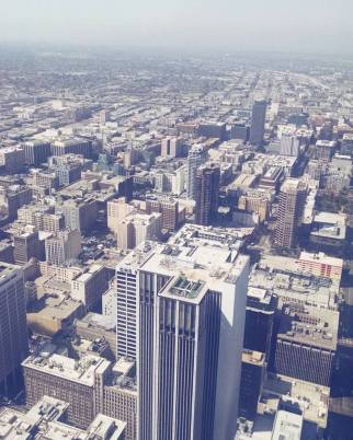 13882166_10201978624262725_3679047730057266202_n