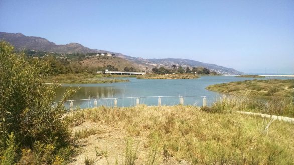 IMG_20160728_144749550