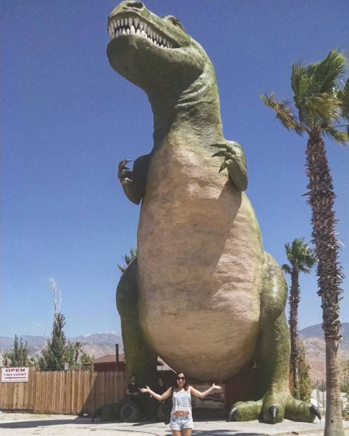 13892296_10202009873883946_7352395175300337629_n