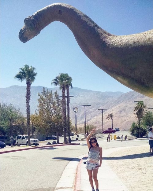 13939369_10202009815402484_5093156964101835155_n