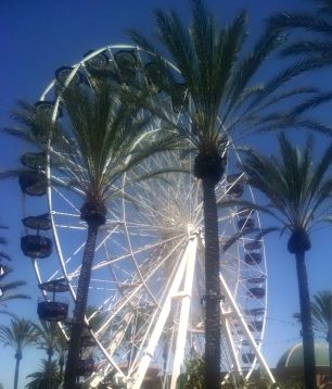IMG_irvinespecferriswheel