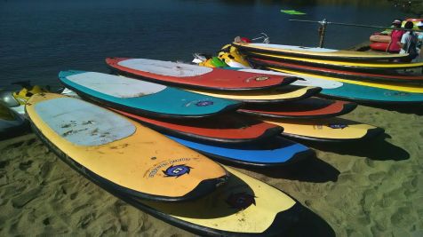 IMG_paddleboards
